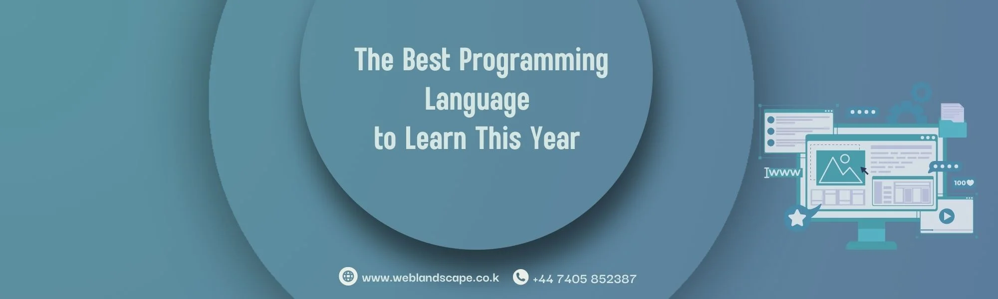 The Best Programming Language to Learn This Year